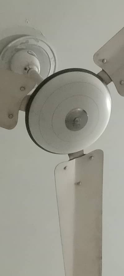 ceiling fan  for sale