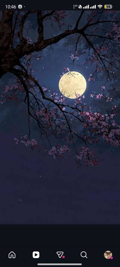 Usman Murtaza