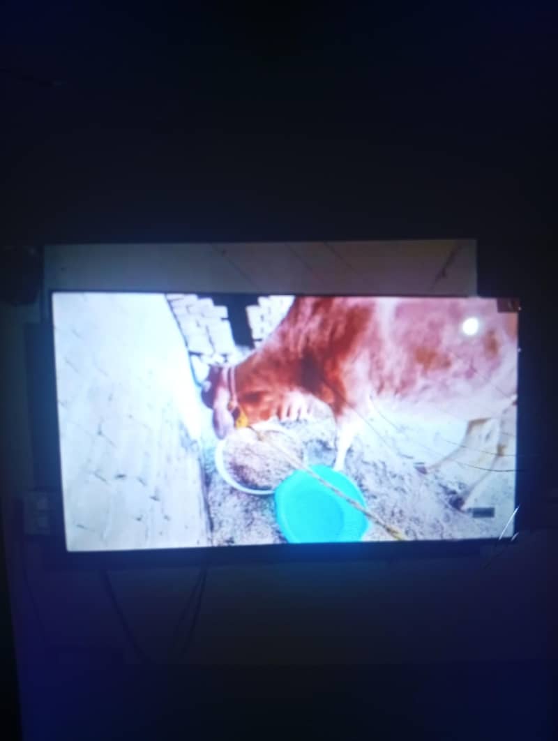 smart google tv 1