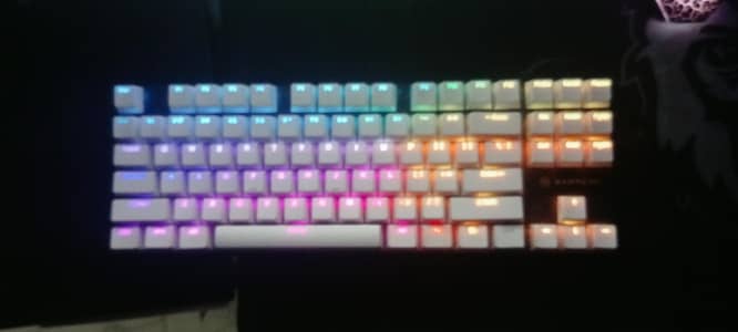 rapture tkl mechanical keyboard