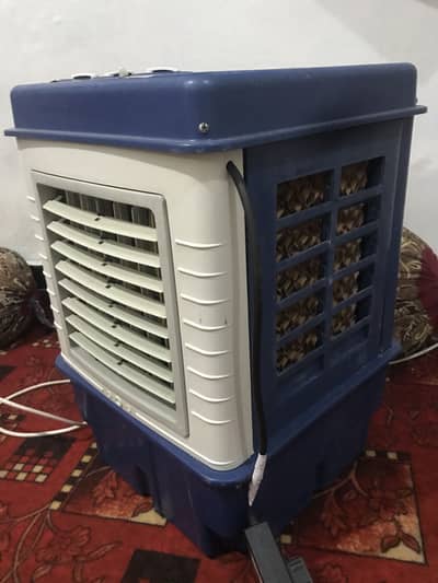 Mini Color fan
