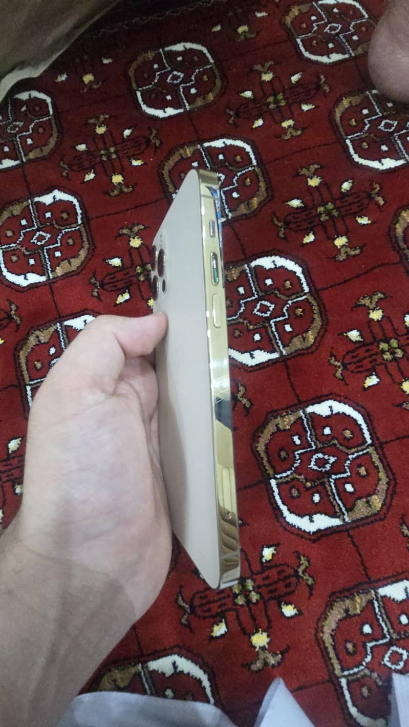 Apple iPhone 12 Pro 1