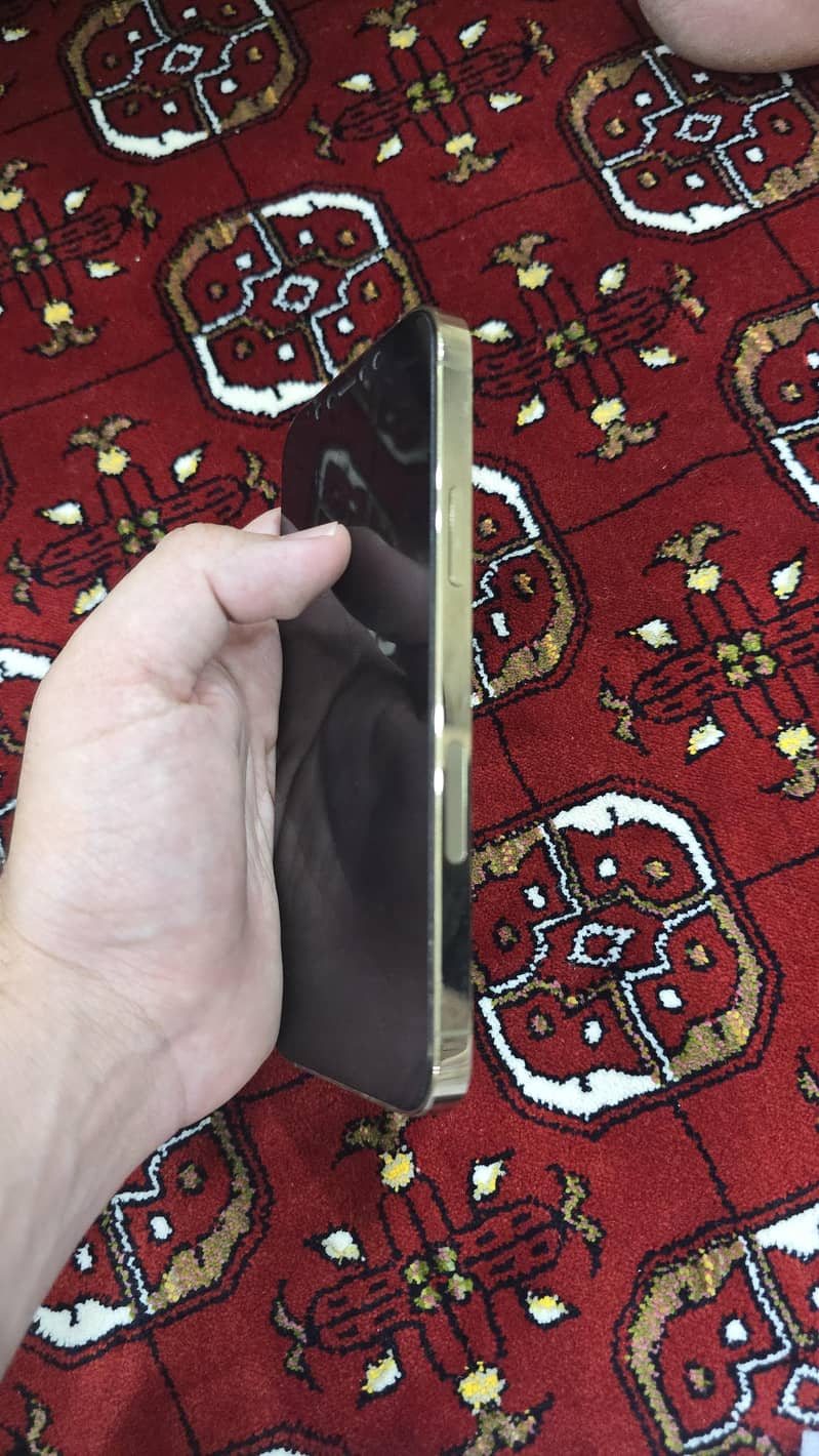 Apple iPhone 12 Pro 4
