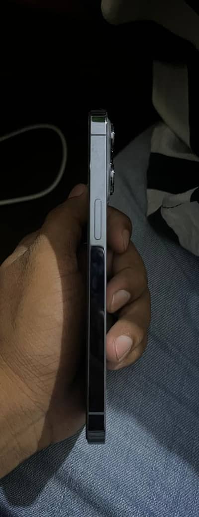 Apple iPhone 13 Pro 10/10