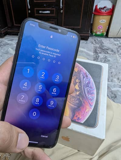 Apple iPhone XS(dual PTA proved)