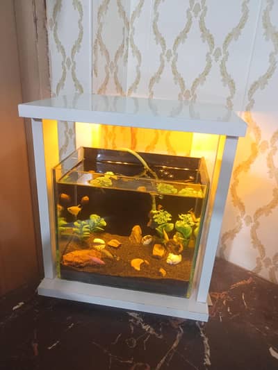 luxury table aquarium