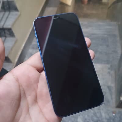 Apple iPhone 12 mini