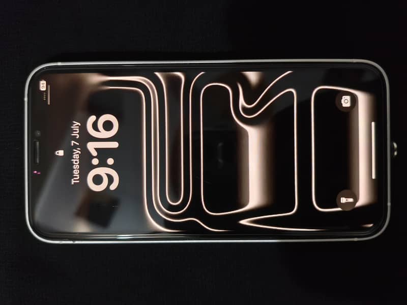 Apple iPhone XS 1