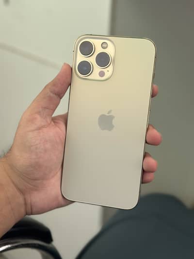 Apple iPhone 13 Pro Max