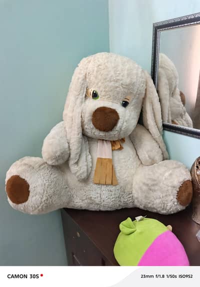 Bear For Sale