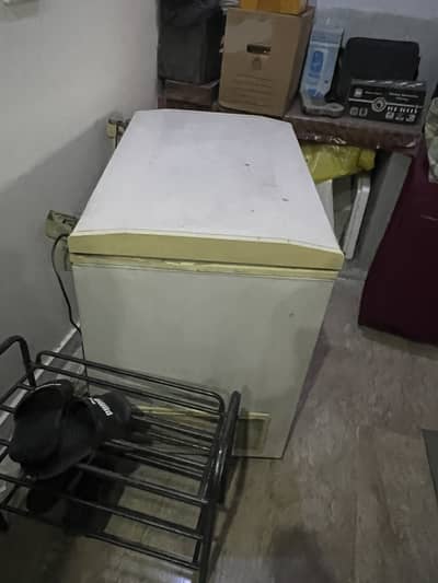 Single Door freezer