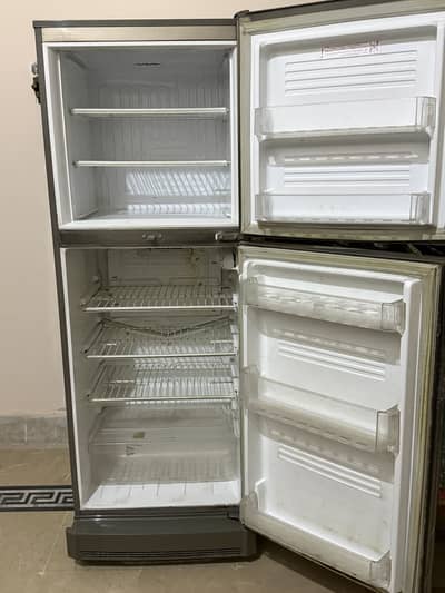 PEL DESIRE Fridge For Sell