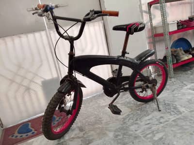 spring bicycle