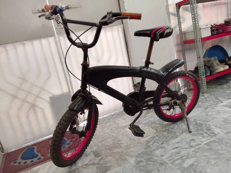 spring bicycle 0