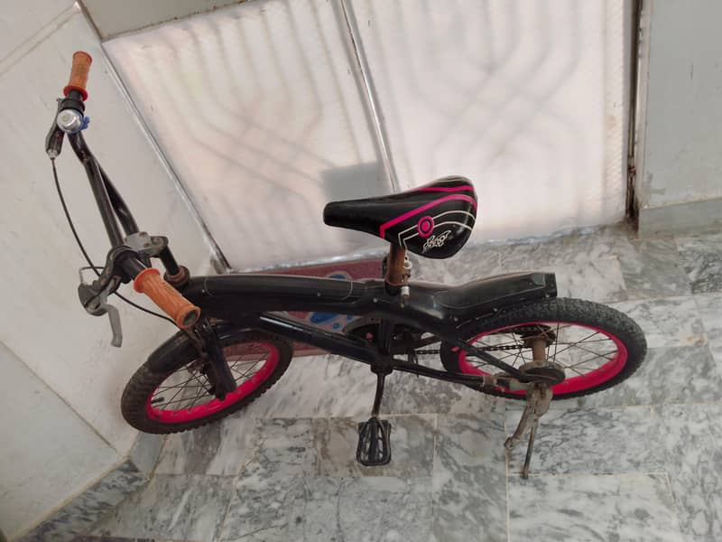 spring bicycle 1