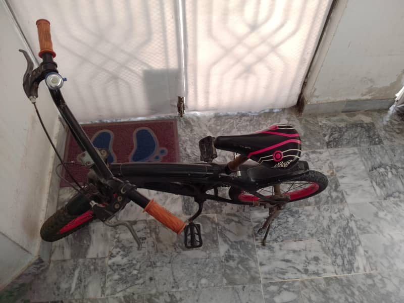 spring bicycle 2