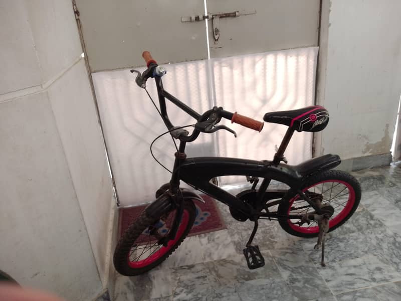 spring bicycle 3