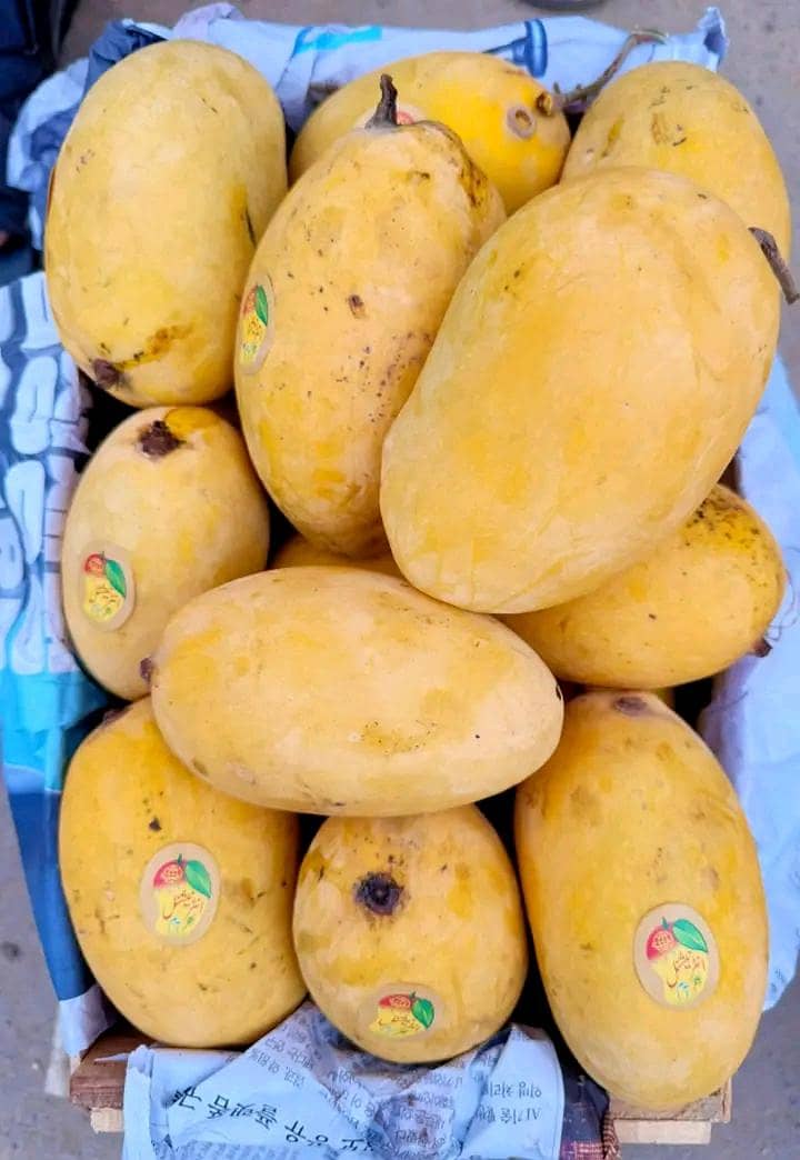 Multani mango chounsa 0
