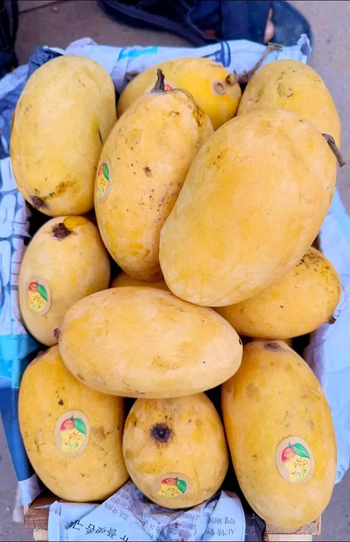 Multani mango chounsa 1