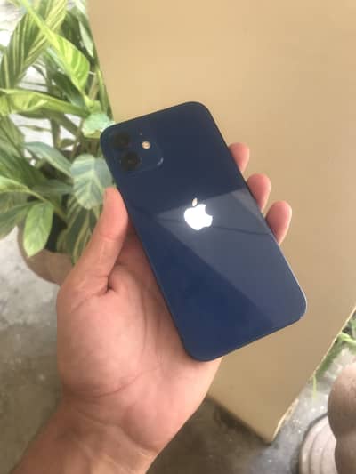 Apple iPhone 12