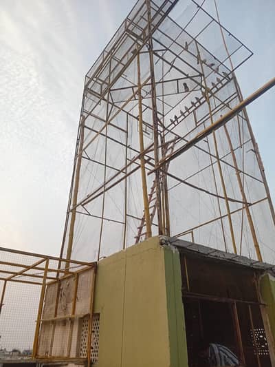 20 feet