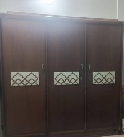 walnut patex