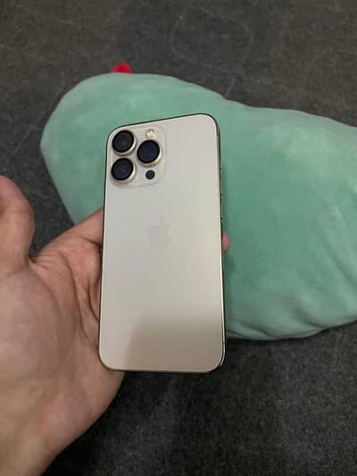 Apple iPhone 13 Pro