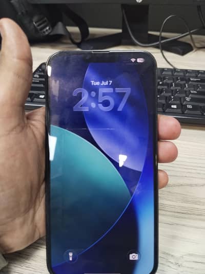 Apple iPhone 13 Pro Max