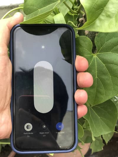Apple iPhone 11 disply 1000#jenune exchange poosible