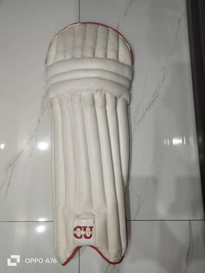 Hardball cricket pads
