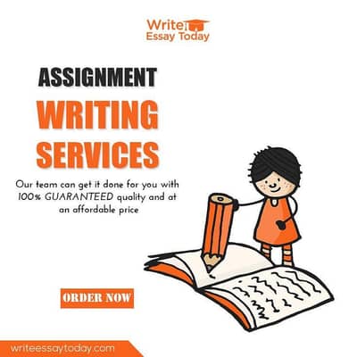 Assignment writing services 24 hours starting 200/300