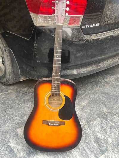 Professional guitar