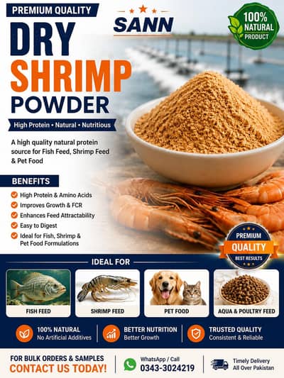 Dry Shrimp Powder