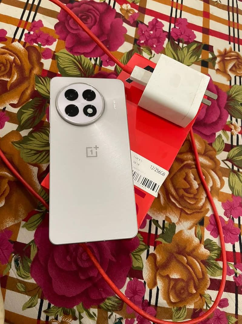 One Plus 13 1