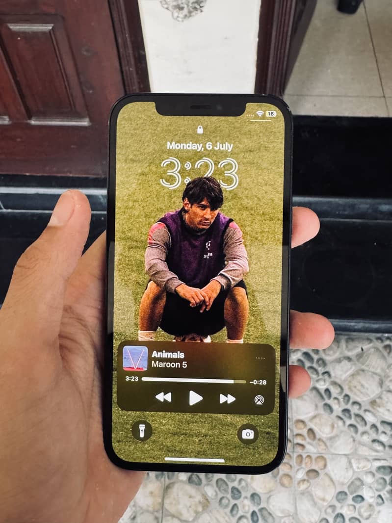 Apple iPhone 12 1