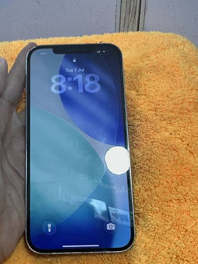 Apple iPhone 12 Pro Max