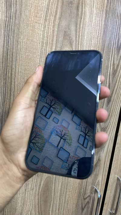 12 Pro Max FU 256gb