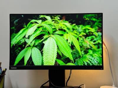 Lenovo 22" IPS Panel 1080p Monitor