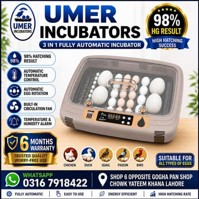 Parrots Eggs incubator | Hatching machine | automictic incubator