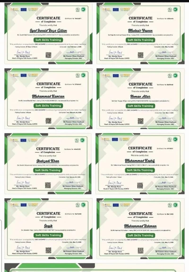 soft skill certificate 0
