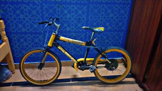 HOME USE BICYCLE