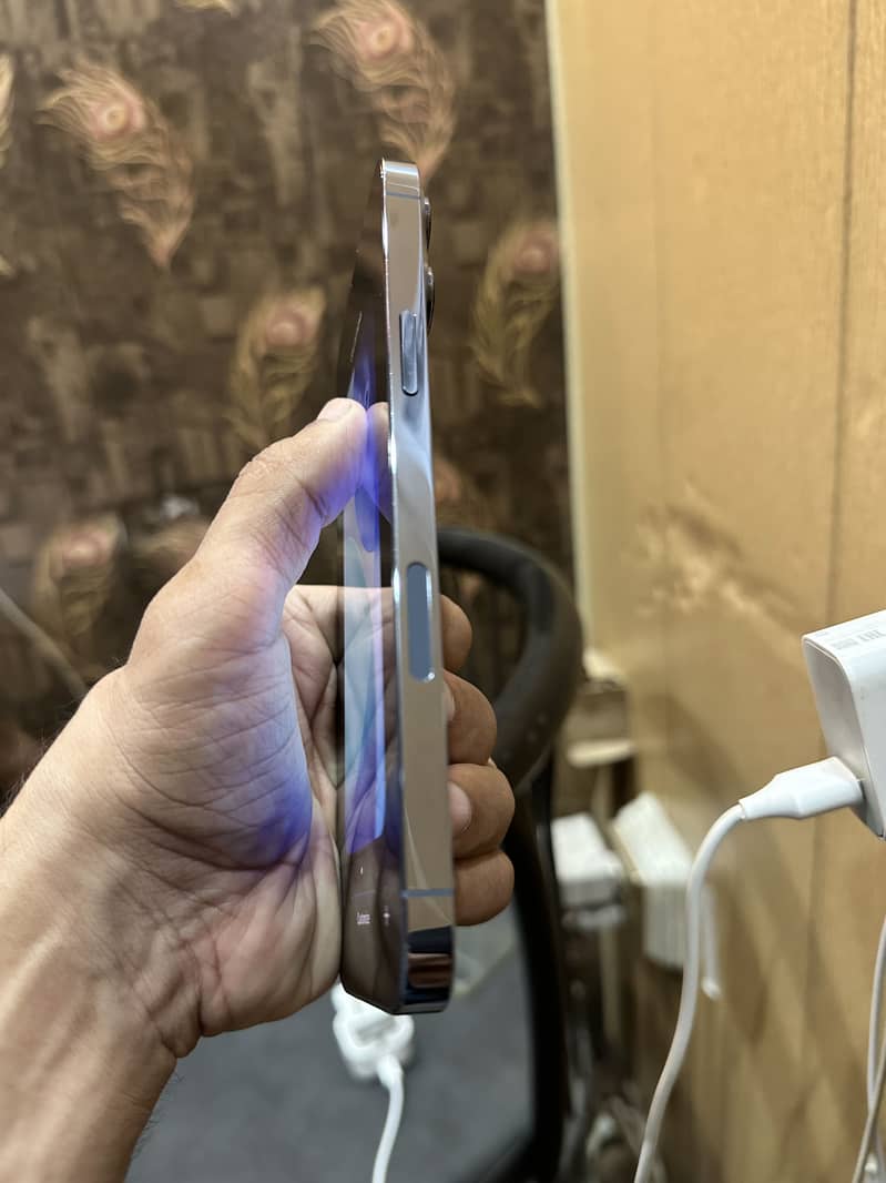 iPhone 13 Pro Max 2