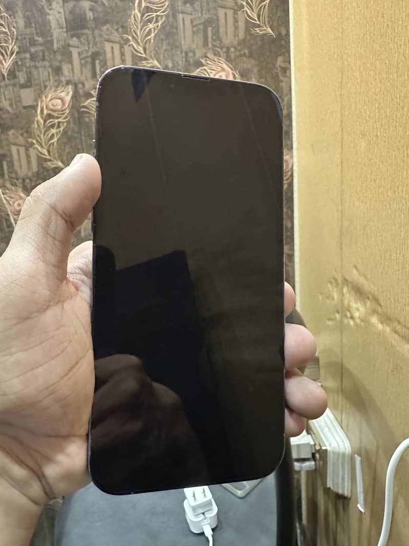iPhone 13 Pro Max 7