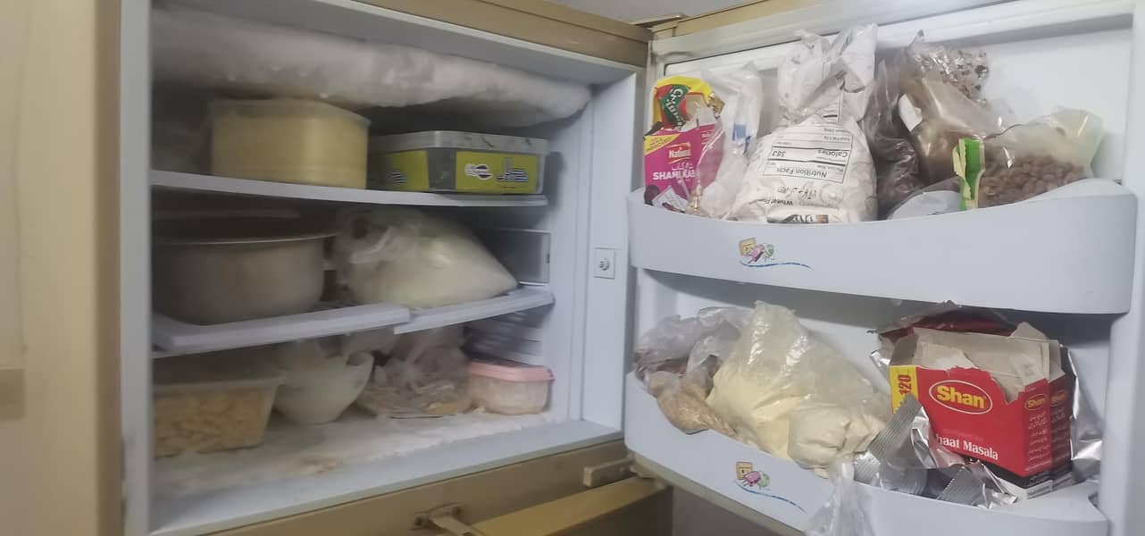 Medium size fridge 3