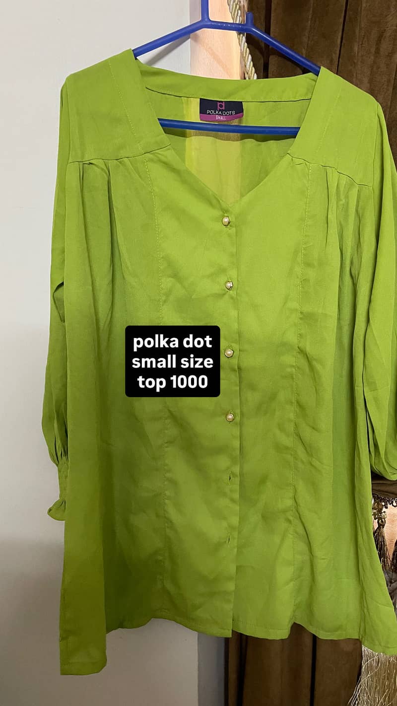 Tunic 2