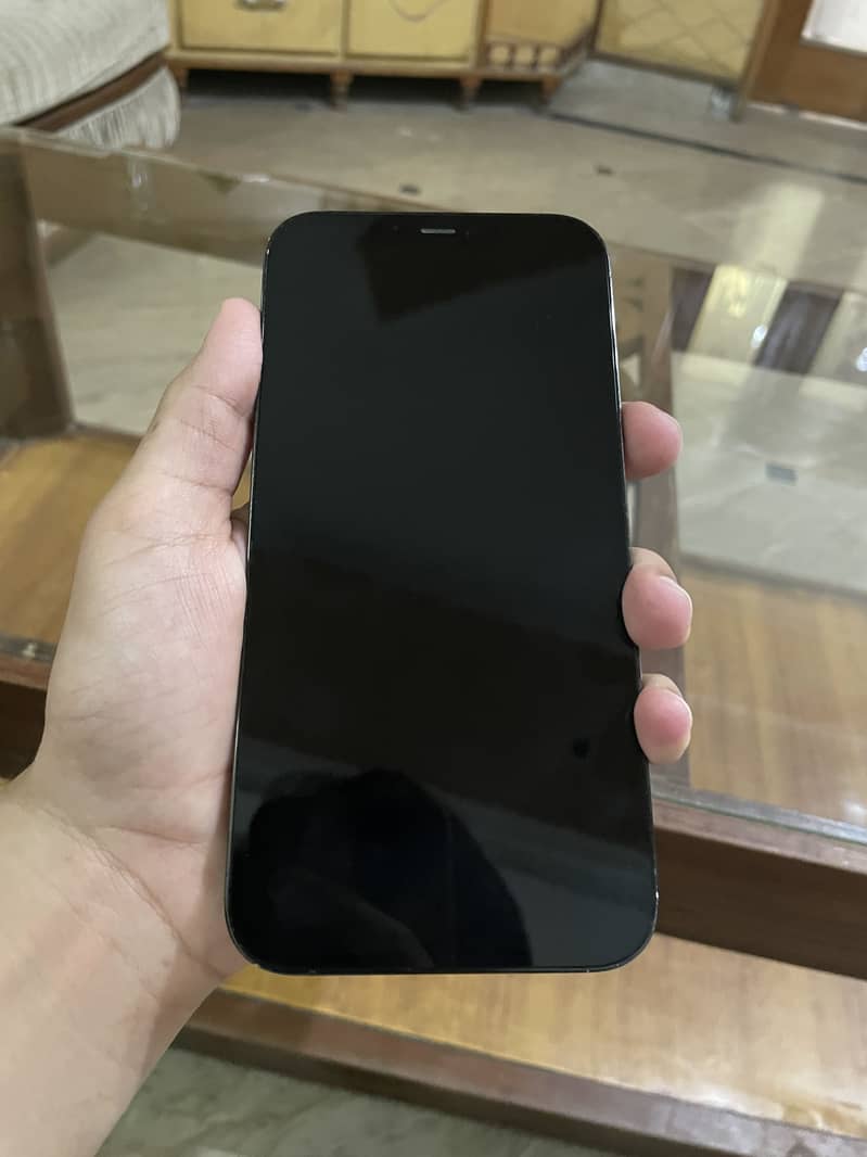 Apple iPhone 12 Pro Max 2