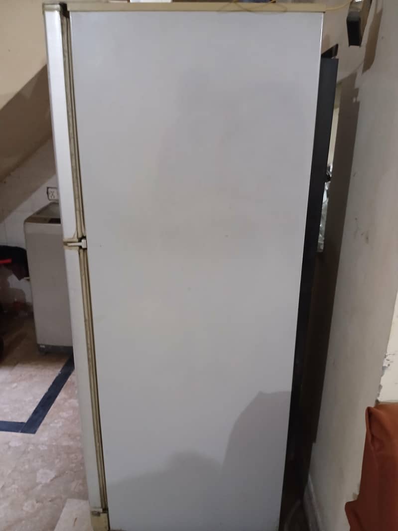 fridge 1