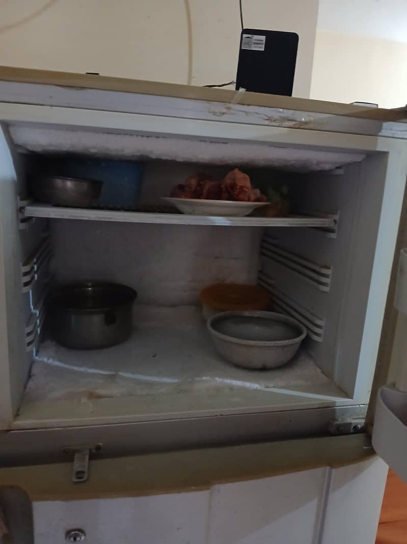 fridge 2