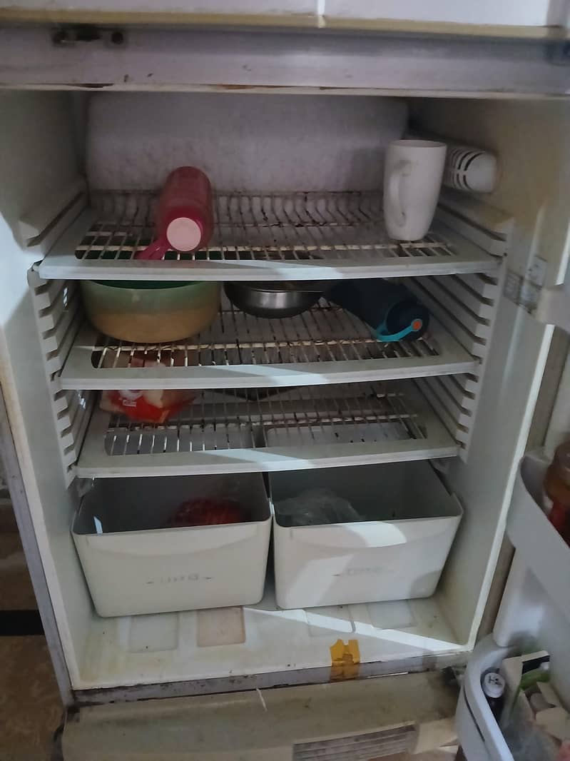 fridge 3