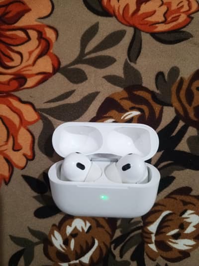 Earphones 